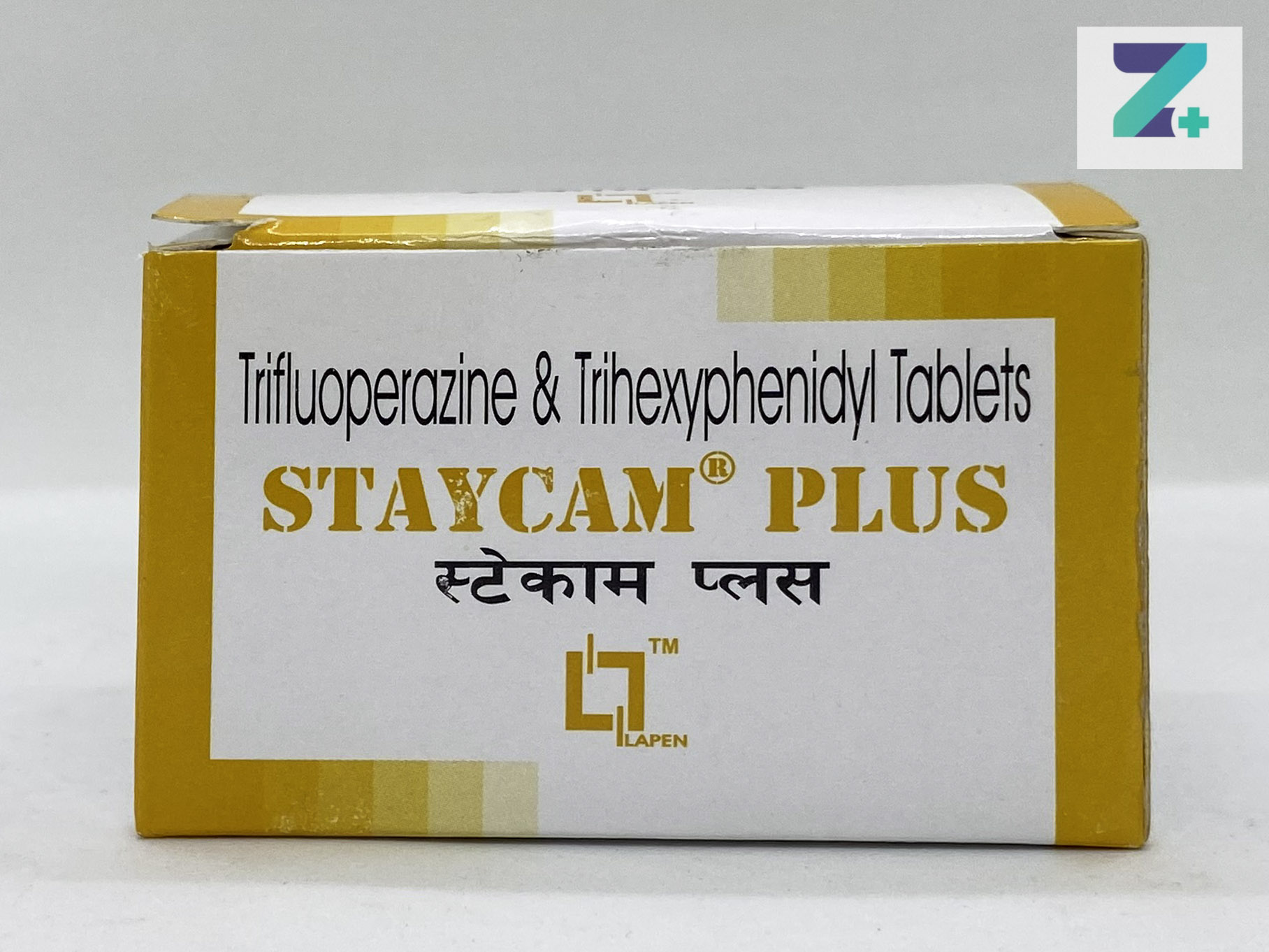 STAYCAM PLUS